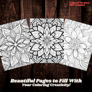 Digital Download . Mandalas Patterns Coloring Pages V1