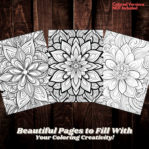 Digital Download . Mandalas Patterns Coloring Pages V1